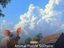 897916 Animal Puzzle Solitair